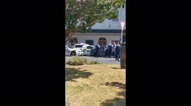 Police in Auckland stop driver at gunpoint in middle of busy street before he's handcuffed and taken away