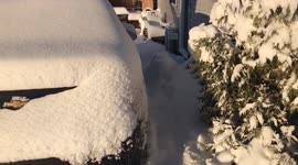 US: First Major Winter Storm Dumps Heavy Snow In Twin Cities Area
