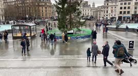 The much-criticised Christmas Tree at Trafalgar Square, London, UK 12 December 2021-