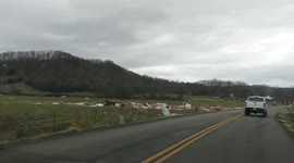 US: Footage Of Devastating Aftermath Of Catastrophic Tornado In Kentucky 6