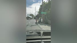 Kind driver helps pensioner cross the road
