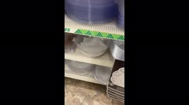 Woman makes trendy DIY coffee table for just £8 using PLASTIC BOWLS
