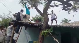 Fear of corona vaccine - Old man climbs roof to avoid health  officials