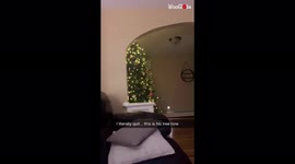 'Cat's 'not-so-gentle' way of redecorating Christmas tree caught on camera'