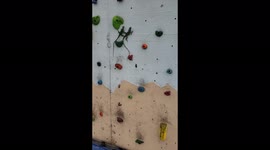 Twin lizards greet PE teacher at school