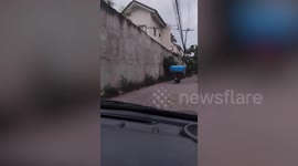 Motorcycle passenger carries giant inflatable paddling pool on the back of bike