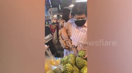 Adorable pet dog carried like a baby in owner’s arm