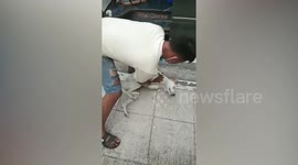 Stray dog miraculously comes back to life after kind passerby performs CPR