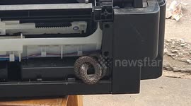 Computer repairman shocked after finding snake inside faulty printer