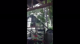 Philippines: Typhoon Rai Brings Strong Winds And Rains To Visayas And Mindanao Regions 2