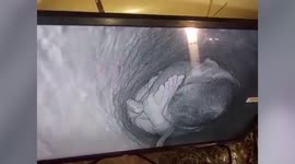 Longer Version_Infant falls into 80-feet-deep borewell, rescue underway in central India