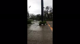 Philippines: Typhoon Rai Leaves Severe Damage Across Visayas 7