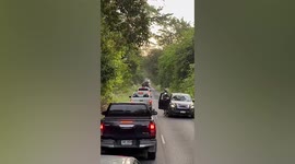 Wild elephant holds up cars on mountain road in Thailand