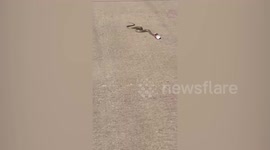 Hero passerby helps tiny snake with head stuck in can