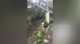 Super typhoon Rai topples trees as it sweeps through Philippines