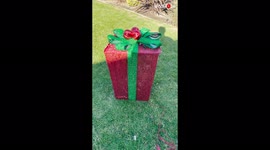 'Sweet girl experiences hilarious Christmas fail while popping out of a gift box'