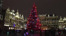 Christmas tree at Unesco World Heritage in Brussels: tree offered by a family