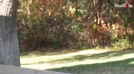 '8 y/o boy bursts into tears after rope swing experiment goes wrong'