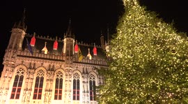 Magical Christmas in Brugge/Bruges: Enjoy the splendid Christmas tree at Burg Square, next to City Hall