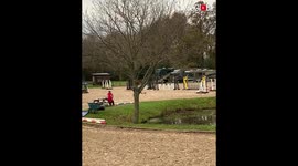 'Woman's first showjumping competition ends in a N(eigh)ASTY manner'