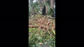 Philippines: Typhoon Rai Leaves Severe Damage Across Visayas 13