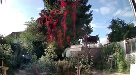 Time lapse