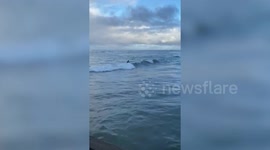 Mark Zuckerberg spotted having a surfing lesson in Hawaii