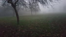 Heavy Fog On A Winter's Day In Selly Oak Park, Birmingham, England