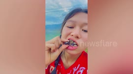 Yum! Fearless Thai girl shows how to BBQ a HUGE wild spider before eating it with family