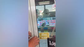Pet cat relaxes inside glass display case in mbile phone shop