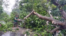 Death toll from Typhoon Rai (Odette) climbs to 208 in the Philippines