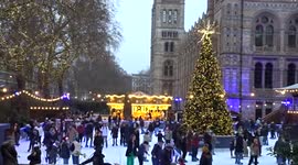 Skaters enjoy Christmas magic of The Natural History Museum Ice Rink - London