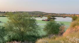 Parque Metropolitano Hermosillo , humedal y parque recreativo con aguas negras recicladas en el poniente de Hermosillo. Agua color verde, color color Aqua, lago artificia