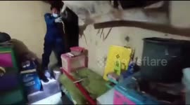 Huge python tears home apart as Jakarta firefighters fight to remove it from ceiling