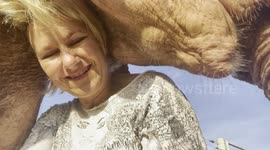 Orphaned elephant shares affection with founder of South African sanctuary that saved her