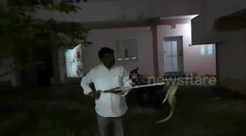 5-foot-long Viper snake coils inside house, rescued in southern India
