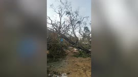 Houses destroyed, trees uprooted after super typhoon Rai onslaught in Surigao City in the Philippines