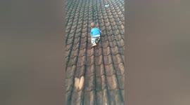 Anxious moment toddler who escapes his father's attention crawls onto the roof