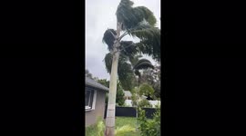 US: Severe Storm With Strong Winds Impacts Southern Florida 2