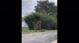 US: Severe Storm With Strong Winds Impacts Southern Florida 3