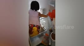 Toddler, pet play together inside refrigerator