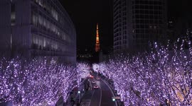 Magical Christmas lights put sparkle into Tokyo winter nights