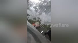 Vehicles crushed as extreme winds blow over tree onto road in Indonesia