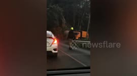 Wild elephant blocks road in Thailand national park