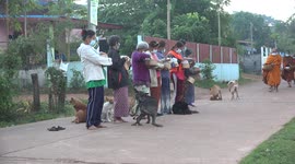 Thai Buddhist monks collect alms from local village people in early morning in North East Thailand.