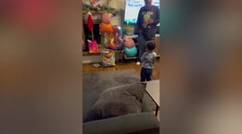 US toddler adopts a BRITISH accent after watching Peppa Pig