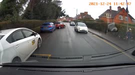Segway electric scooter riding fast on a pavement