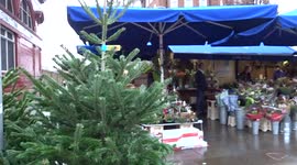 Christmas trees and festive bouquets of flowers on sale outside South Kensington tube station on Christmas eve