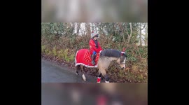 Christmas eve ride with our closest friends.  Even a segway santa