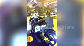 Dogs take ride on owner's rubbish cart in Bangkok